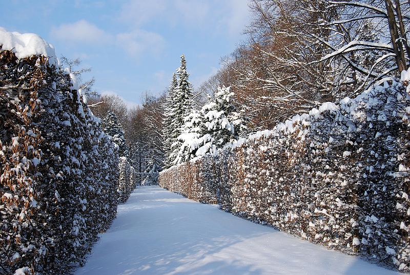 2010-12-02, Neuschnee (21).JPG